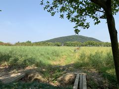 -苏州太湖西山岛开心农场