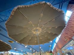 -卡通尼·Safari非洲探索乐园·生日会(金桥国际商业广场店)