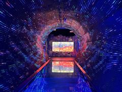 -正佳自然科学博物馆