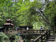 -青城山