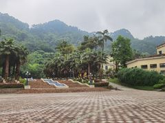 -重庆海昌加勒比海水世界