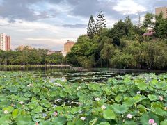 -广西大学(大学东路校区)