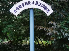 -沈阳南湖公园
