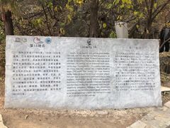 -北京周口店北京人遗址博物馆