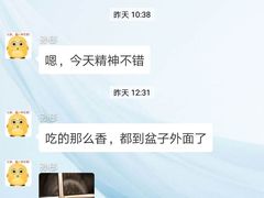 -安安宠医·安宠宠物医院