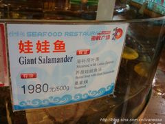 -旺顺阁海鲜广场(亚运村店)
