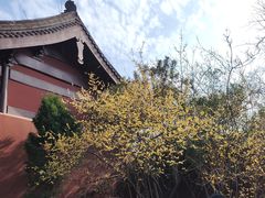 -钱王祠