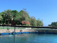 -天津湾西餐厅(三亚海棠湾洲际度假酒店)