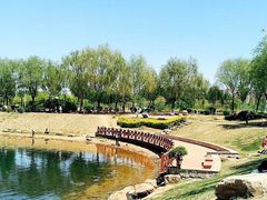 -丁香湖公园
