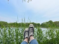 -贡湖湾湿地公园