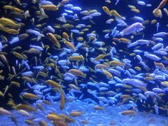 -成都浩海立方海洋公园