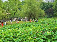 -沐仙湖湿地公园