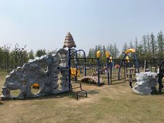 -上海长兴岛郊野公园