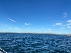 -苏木山森林公园