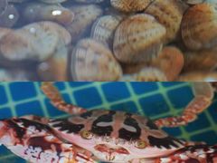 -三亚火车头万人海鲜广场