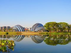 -上海植物园-4号门售票处