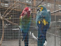 -南宫五洲植物乐园