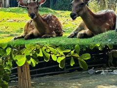 -泉州海丝野生动物世界