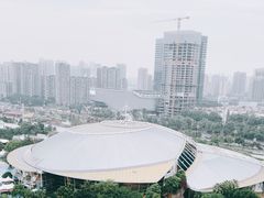 -海合安成都极地海洋公园