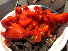 -禾绿寿司·定食·拉面·烧炸(喜荟城店)