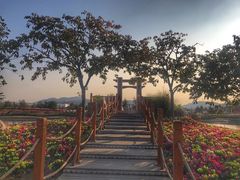 -羊亭河湿地公园