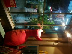 -猫咪博物馆(顶澳仔猫街店)