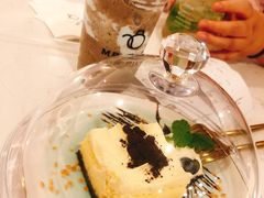 -飞行喵MR PILOT|猫舍·猫咖(静安大融城店)