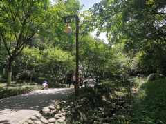-重庆彩云湖湿地公园