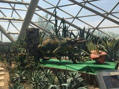 iphone_upload_pic-西安世博园