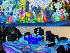 -海合安武汉极地海洋公园