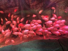-泉城欧乐堡海洋极地世界