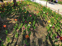 -长春公园(普阳街道)