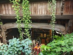 -普洱茶府(博乐广场店)