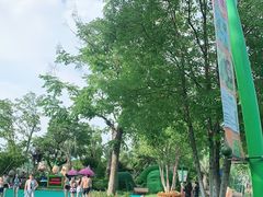 -苏州乐园森林水世界