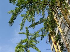 -椒小兔·盐帮川菜中餐厅(金沙时代广场店)