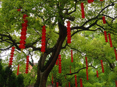 景点-杭州上天竺法喜讲寺