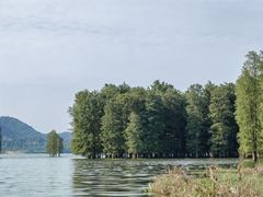 -四明湖