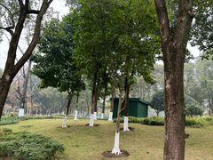 -重庆彩云湖湿地公园