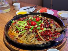 -老板恋上鱼(恒隆广场店)