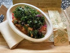 -油梨树AVOCADO TREE(顺义新国展店)