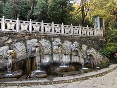 -蝴蝶泉公园