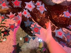 -沈阳海洋探索中心