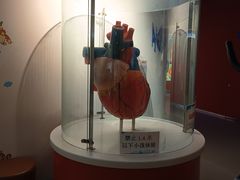 -佛山科学馆