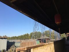 -呀路古热带植物园