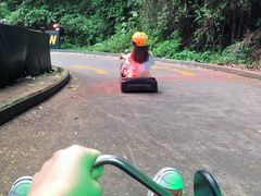 -圣淘沙天际线斜坡滑车