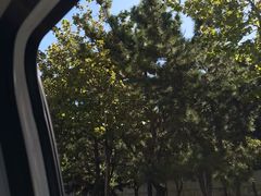 -大福黄牛料理·韩式烤肉·黄牛肥肠·酱蟹