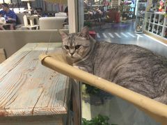 -小时光咖啡馆(开森度假森林店)