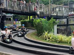-圣淘沙天际线斜坡滑车