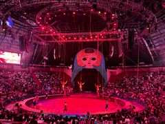 -俄罗斯国家大马戏团