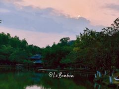-番禺大夫山森林公园